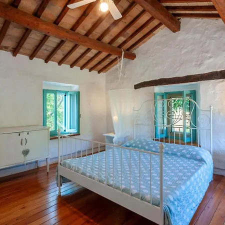 Coccole * Montetassi